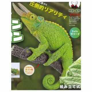 全部揃ってます!!】アニマリエコレクション ジャクソンカメレオン [全4