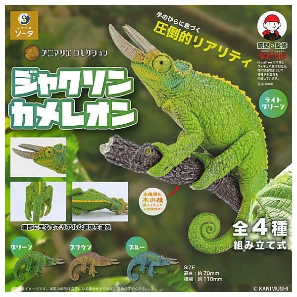 アニマリエコレクション ジャクソンカメレオン - スタジオソータ