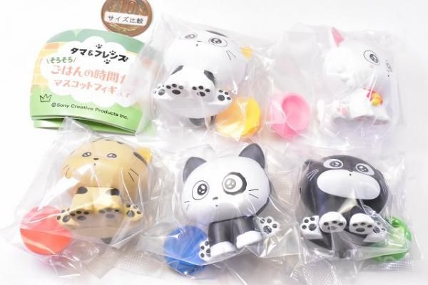 公式通販 - 人気アイテム多数 昭和レトロ 当時物 1984年 タマ＆フレンズ うちのタマ知りません その他