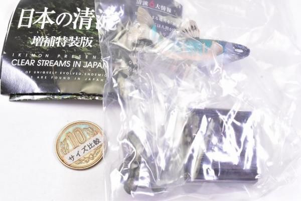 ネイチャーテクニカラー 日本の清流 増補特装版 [4.オイカワ