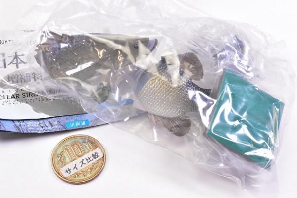 アカメ シークレット ネイチャーテクニカラー 日本の清流 ガチャ 即決 送料無料 アカメ 日本の清流 増補特装版 ネイチャー