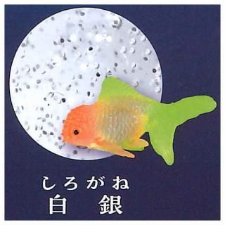 ߥ͡󥸥륹饤ߡ  [4.] ͥݥԲ 