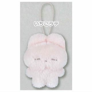 Τͤ פޥåȤ̤ [2.] ͥݥԲ ۡC