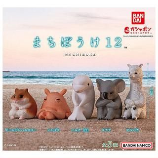 ������·�äƤޤ�!!�ۤޤ��ܤ���12 [��5�糧�å�(�ե륳���)]�� �ͥ��ݥ��Բ� �ۡ�C��