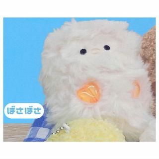 �ޤ�ޤ�Ҥ褳����� �פ��̤������ [4.�ܤ��ܤ�]�� �ͥ��ݥ��Բ� �ۡ�C��