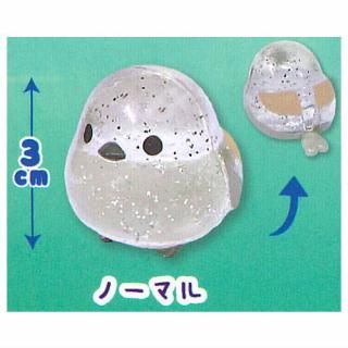 �դ��դ����ޥ��ʥ� �����󤯤ꤢ�����ե����奢 [1.�Ρ��ޥ�]�� �ͥ��ݥ��Բ� �ۡ�C��