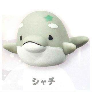 ゆるいるか BIGぬいぐるみ 2種類セット みいるか｜Yahoo!フリマ
