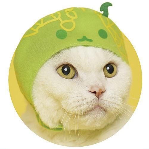 ぐでねこちゃんチャームスイカ