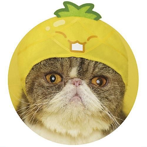 ぐでねこちゃんチャーム　スイカ ぐでねこちゃんチャームスイカ