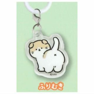 ���դ�ͤ��Τᤸ�뤷���������㡼�� [5.�դ�भ]�ڥͥ��ݥ������б��ۡ�C��