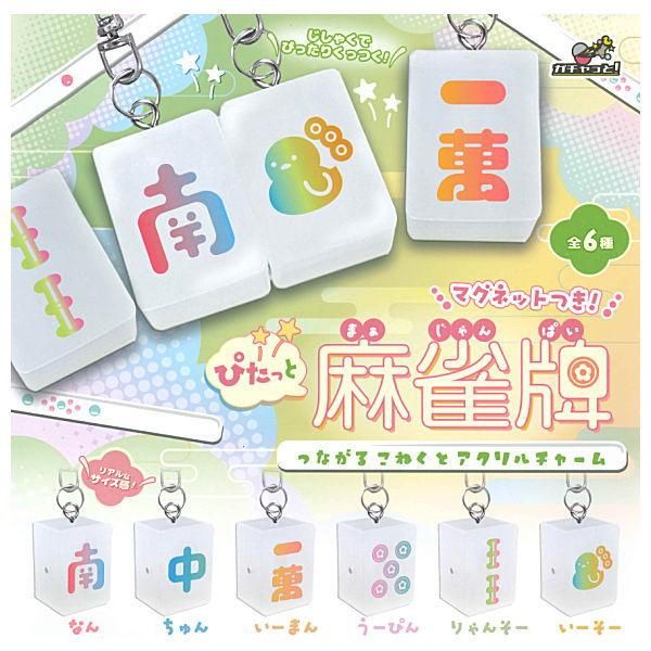 ネイルディスプレイ マグネット付きアクリルプレート付 新品2枚