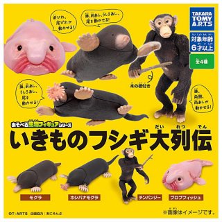 全部揃ってます!!】星の子コレクション [全5種セット(フルコンプ)] SO-TA ガチャガチャ カプセルトイ 通販