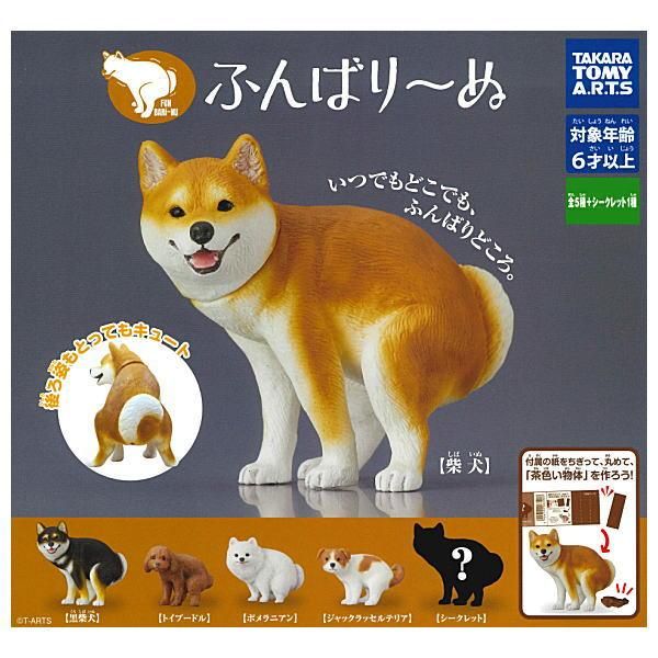 すーぱーぽちゃ子 ぬーすと 2種セット