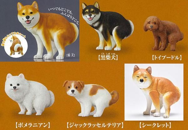 全部揃ってます!!】ふんばり～ぬ [シークレット含む全6種セット