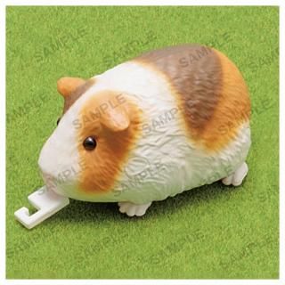 TAMA-KYU åȤ [3.] ͥݥԲ ۡC