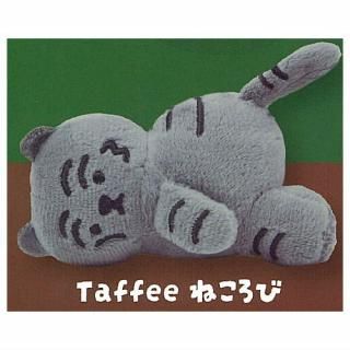 MUZIK TIGER Τ̤ [2.Taffee ͤ] ͥݥԲ ۡC