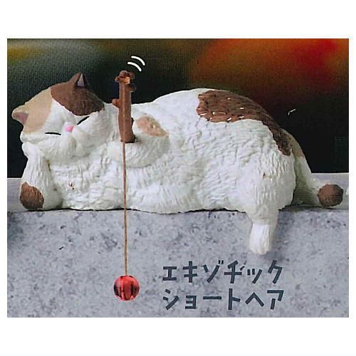 釣り日和5 ぽっちゃり猫たちのひまつぶし [4.エキゾチック