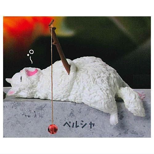 釣り日和5 ぽっちゃり猫たちのひまつぶし [5.ペルシャ],エール