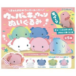 ·äƤޤ!!ۥѡ奦̤ [5糧å(ե륳)] ͥݥԲ ۡC