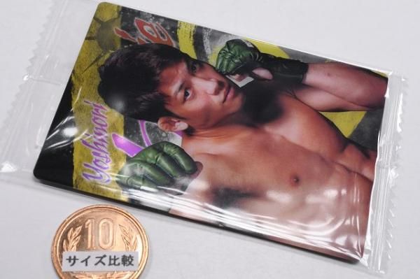 RIZINウエハース'24 [29.堀江圭功],バンダイ 食玩 通販