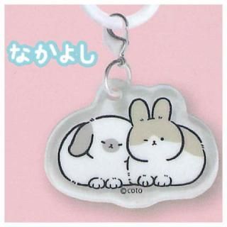 ���դ臘�����Τᤸ�뤷���������㡼�� [5.�ʤ��褷]�ڥͥ��ݥ������б��ۡ�C��