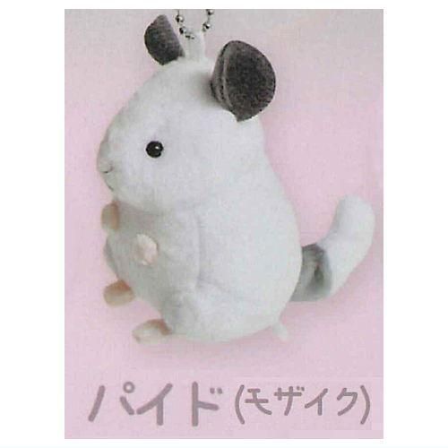 てのひらサイズのチンチラぬいぐるみ(再販) [2.パイド(モザイク