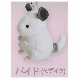 ƤΤҤ饵Υ̤() [2.ѥ(⥶)] ͥݥԲ ۡC