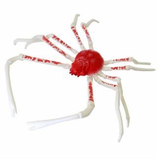 Amazon | あそべる生物フィギュアシリーズ メガロドンと大むかし