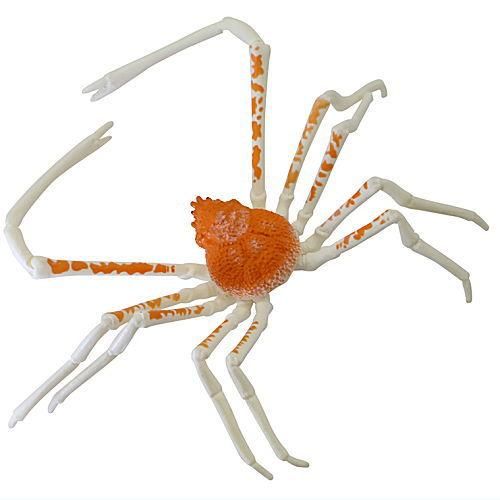 あそべる生物フィギュアシリーズ モンスターフィッシュ 日本の海 あそべる生物フィギュアシリーズ モンスターフィッシュ 日本の海