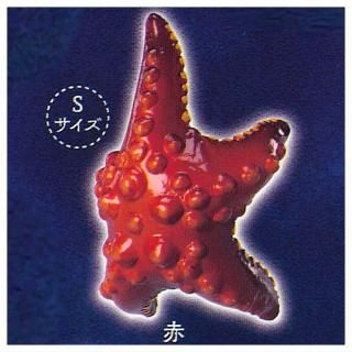 ���� �� karami ����(�ҥȥ�) [2.��(S������)]�� �ͥ��ݥ��Բ� �ۡ�C��