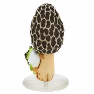 �ͥ����㡼�ƥ��˥��顼 MONO PLUS ���Υ��ȥ��ޥ����� �ե����奢�ޥ����åȡ��ܡ����������2 [4.���ߥ��������ȥ��ޥ�����(�ޥ����å�)]�ڥͥ��ݥ������б��ۡ�C��