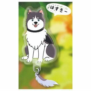 ���äݤդ�դ�����ˤ�󥹥ޥۥ��㡼�� [6.�Ϥ�����]�ڥͥ��ݥ������б��ۡ�C��