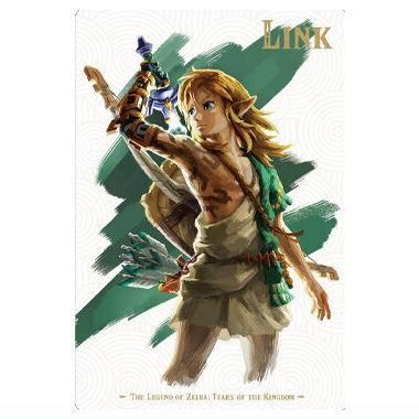 ゼルダの伝説 ティアーズ オブ ザ キングダム カードツイン ゼルダの伝説 ティアーズ オブ ザ キングダム カードツイン