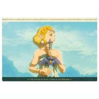 ゼルダの伝説 ティアーズ オブ ザ キングダム カードツイン