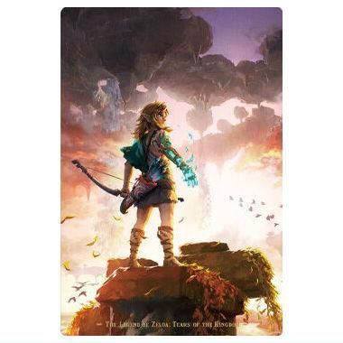 ゼルダの伝説 ティアーズ オブ ザ キングダム カードツイン ゼルダの伝説 ティアーズ オブ ザ キングダム カードツイン