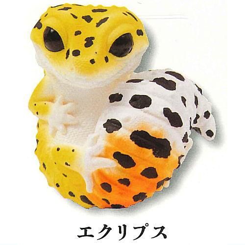ヒョウモントカゲモドキ　ガチャ　フィギュア 真工房 デフォキャラシリーズ ヒョウモントカゲモドキ [4