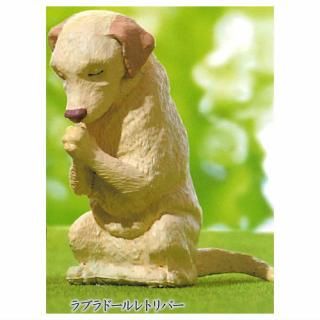 �羸 �� ���� ¶�λ� [5.��֥�ɡ����ȥ�С�]�ڥͥ��ݥ������б��ۡ�C��