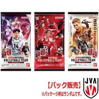 ڥѥå JAPAN NATIONAL VOLLEYBALL TEAM ĥ󥦥ϡ ڥͥݥбۡC