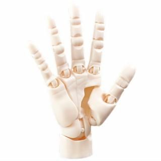 ARTIST SUPPORT ITEM COLLABORATION 1/2 ϥɥǥ/R [2.PALE ORANGE] ͥݥԲ 