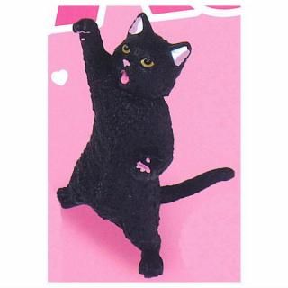 NYAoooo!!2 [2.ͥ]ڥͥݥбۡC