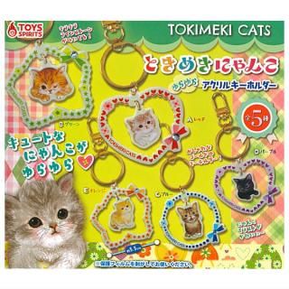 ·äƤޤ!!ۤȤ᤭ˤ 饢륭ۥ [5糧å(ե륳)]ڥͥݥбۡC