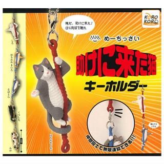 ������·�äƤޤ�!!�ۤ᡼���ä��� �������褿ǭ �����ۥ���� [��6�糧�å�(�ե륳���)]�ڥͥ��ݥ������б��ۡ�C��