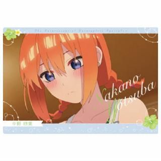 ����ʬ�βֲǡ������ϡ��� [9.�������(����饯����������)]�ڥͥ��ݥ������б��ۡ�C��