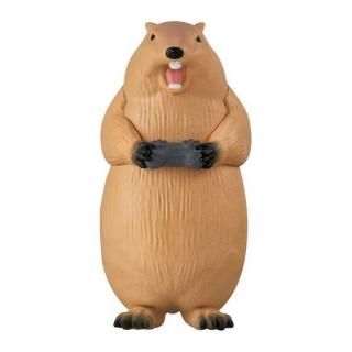 �ɤ��֤ĥ����ޡ� [5.�ޡ���å�]�ڥͥ��ݥ������б��ۡ�C��