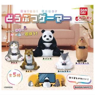 ·äƤޤ!!ۤɤ֤ĥޡ [5糧å(ե륳)] ͥݥԲ ۡC