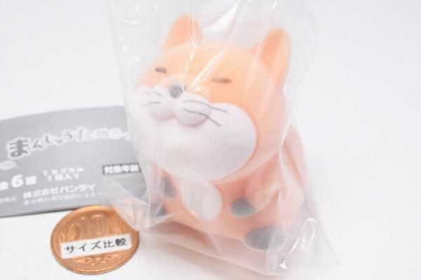 楽天市場】まんじゅうたぬきつね 【各種】 : A-TOYS 楽天市場店