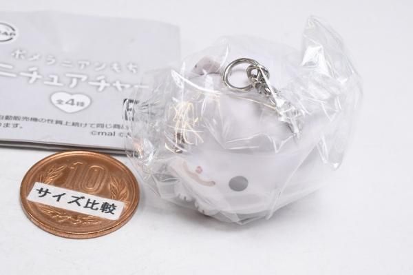 ポメラニアンもち ポメラニアンもち ミニチュアチャーム [2.もち],ウルトラニュー