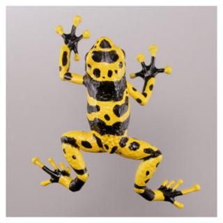 ���ץ���Q ͭ�Ǵ���ưʪ���� [1.��ɥ�������[�����ӥ�ɥ�������]]�ڥͥ��ݥ������б��ۡ�C��