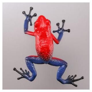 ���ץ���Q ͭ�Ǵ���ưʪ���� [3.��ɥ�������[��������ɥ�������]]�ڥͥ��ݥ������б��ۡ�C��