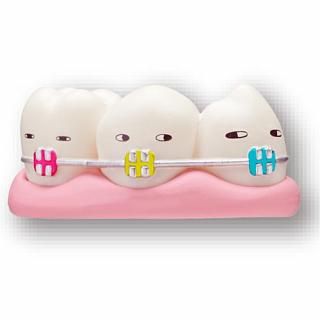 ȥ˥֥ƥ˥顼 ̵ʻΥ ե奢쥯2 [6.(ե)]ڥͥݥбۡC